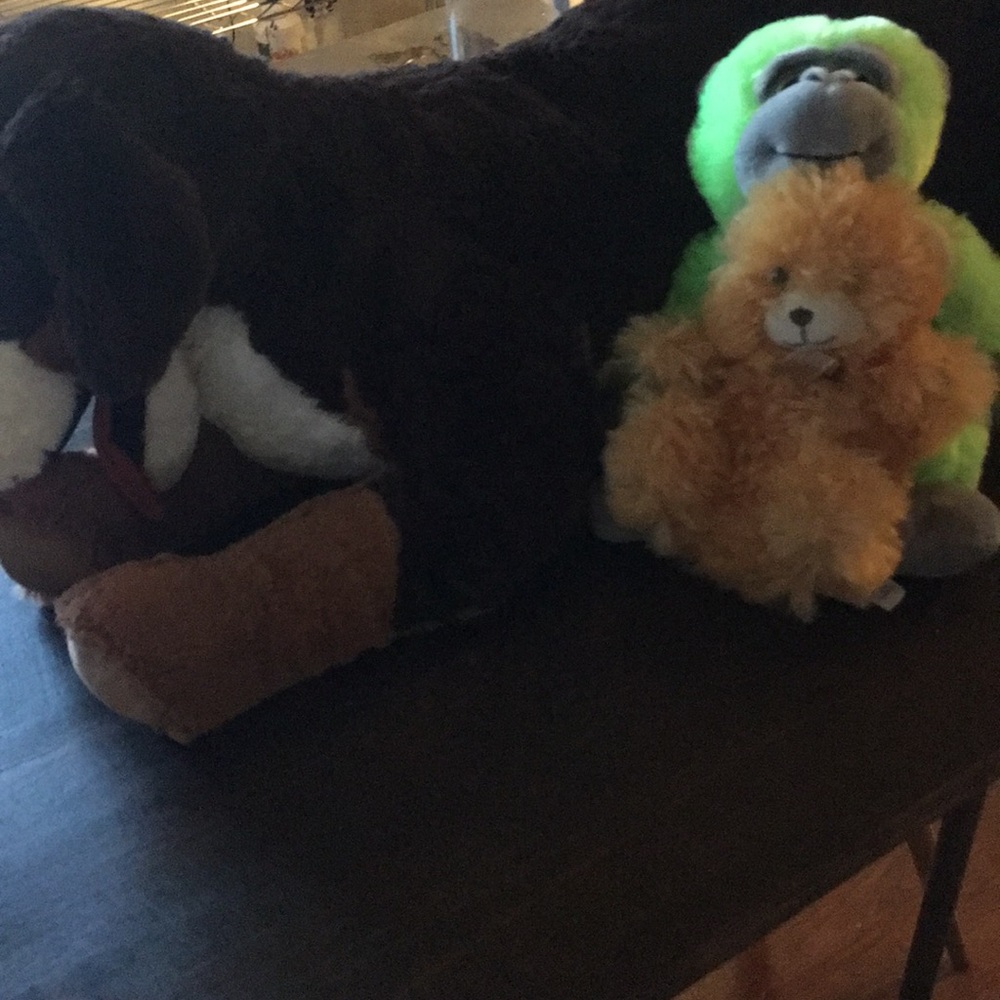 I’m selling a ikea dog a tiny bear and a monkey